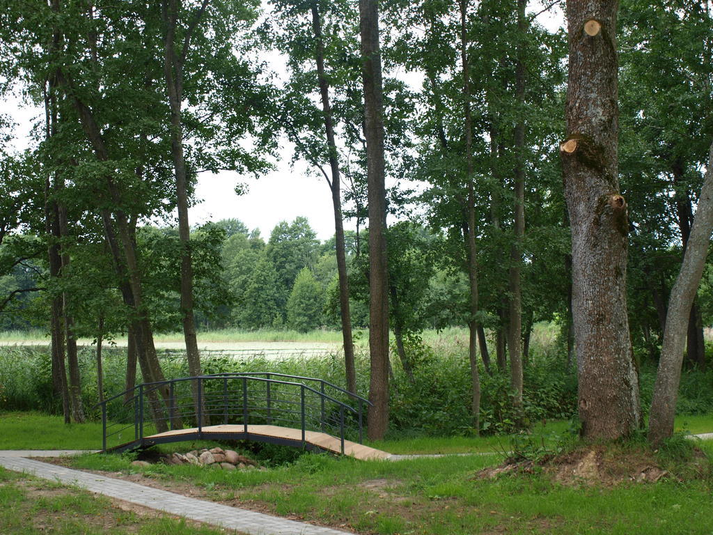 Guest House Kalnu pūpoli Šenheida Extérieur photo