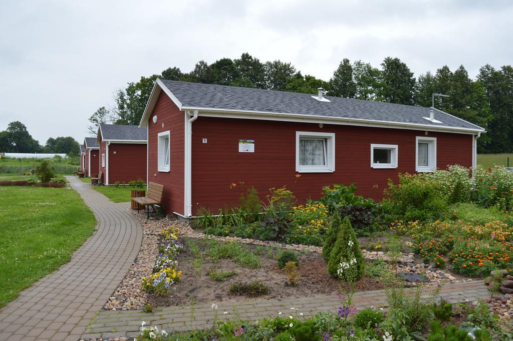 Guest House Kalnu pūpoli Šenheida Extérieur photo